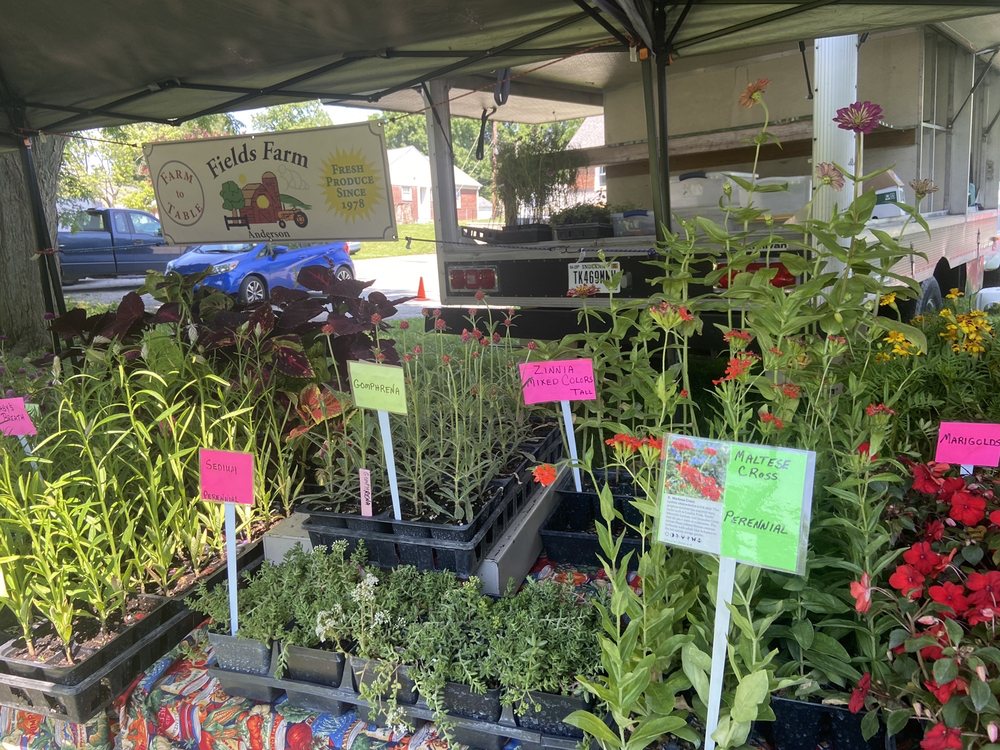 IRVINGTON FARMER’S MARKET Updated August 2024 33 Photos & 21