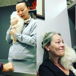 Vernon Woods Animal Hospital
