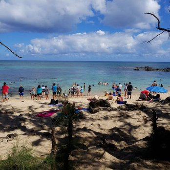 Laniakea Beach - Beaches Near Me - Haleiwa, Hawaii Laniakea Beach - Beaches Near Me - Haleiwa, Hawaii