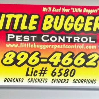 Little Buggers Pest Control - Pest Control Near Me - Henderson, Nevada