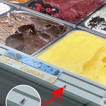 Melt n’ Dip - Ice cream with protein! - Creperies Near Me - Willowbrook, Illinois