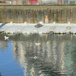 Skulpturparken på Tjuvholmen