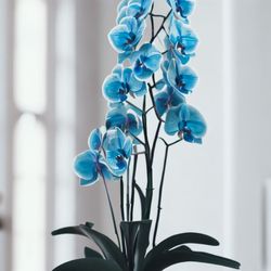 Donya's Florals