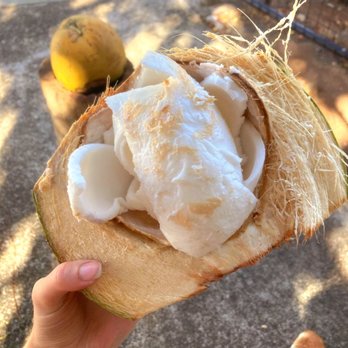 Coconut Caboose - Coconut - Food Trucks Near Me