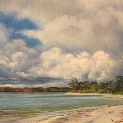 American Painting - Wiggins Pass, Florida, 8" x 12" Oil, by Andrei Kushnir