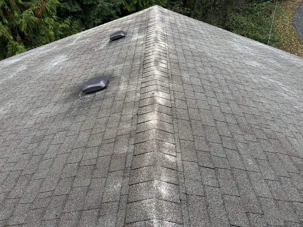 A BRITEWAY WINDOW CLEANING Updated September 2024 22 Photos