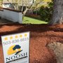 Photo of NOOSH Stump Removal & Landscape Restoration