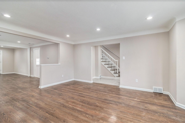 Detroit Advantage Logo