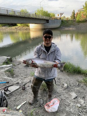 The Bait Shack by null