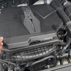 Miami Lakes Automall