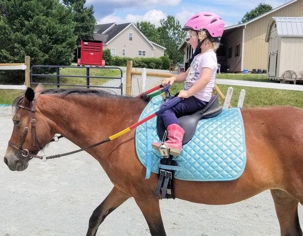 Mare Meadows Farm - equestrian in Sanford, NC