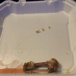 a piece of meat in a styrofoam container a piece of meat in a styrofoam container