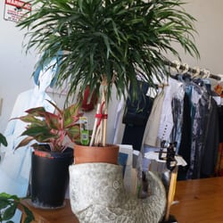 Plano Alterations - Inside the shop, there is a bird sound and nice plants when you walk in