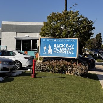 Back Bay Veterinary Hospital - Veterinarians Near Me - Newport Beach, California