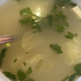 Duck Soup