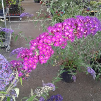 Capitol Market - Farmers Market Near Me - Charleston, West Virginia Capitol Market - Farmers Market Near Me - Charleston, West Virginia