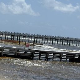 Bad rocky beach full of sargassum seaweed Bad rocky beach full of sargassum seaweed