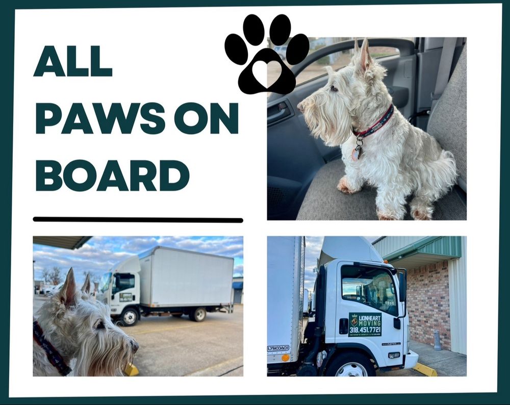 LOUISIANA GLASS Updated August 2024 12 Photos 2201 California Dr