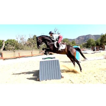 Starlite Eventers - Horseback Riding Near Me Starlite Eventers - Horseback Riding Near Me