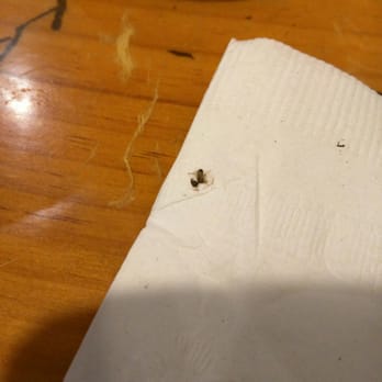Seoul Tofu House - 2 baby roaches came from the bottom of side dish. I killed one but one got away. Thank God they came out before we started eating. - Korean Near Me - Duluth, Georgia Seoul Tofu House - 2 baby roaches came from the bottom of side dish. I killed one but one got away. Thank God they came out before we started eating. - Korean Near Me - Duluth, Georgia