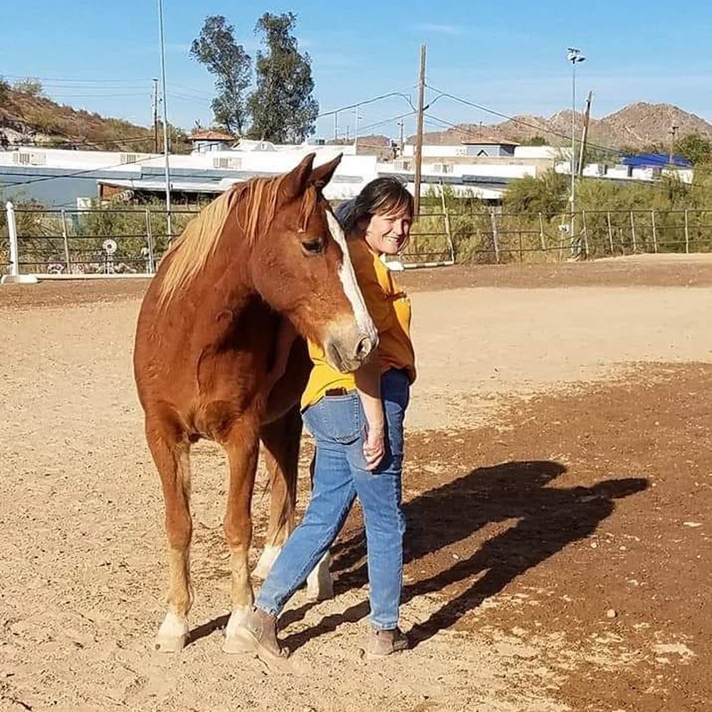 Stony Mountain Ranch - Therapy gals - Pet Services Near Me - Phoenix, Arizona Stony Mountain Ranch - Therapy gals - Pet Services Near Me - Phoenix, Arizona