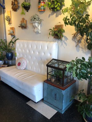 Mint & Serif by null