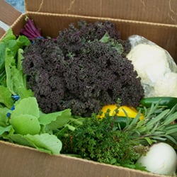 Growing Home - A Growing Home CSA Share Box