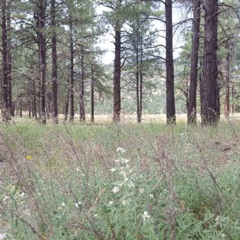 Kaibab Lake Campground - Campgrounds Near Me - Williams, Arizona