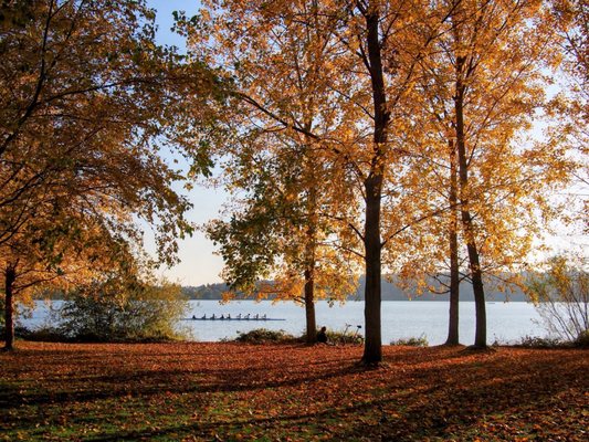 Green Lake Park by null
