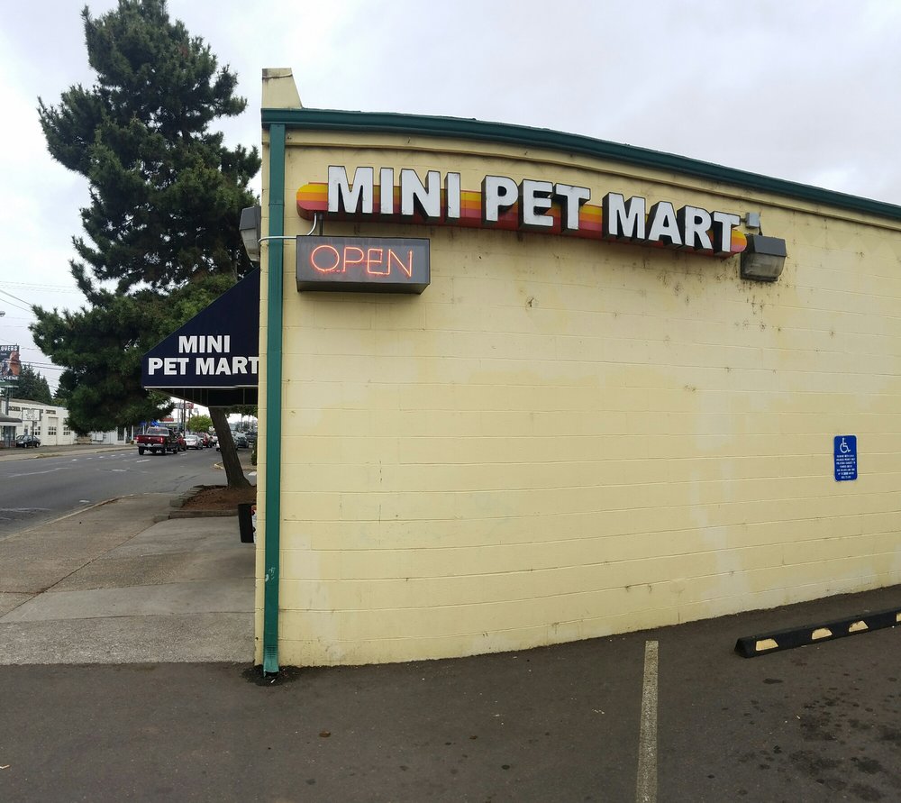 MINI PET MART & COMPANY Updated August 2024 10 Reviews 1875 W