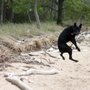 Photo of Lead With Fun