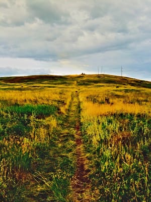 Nose Hill Park by null