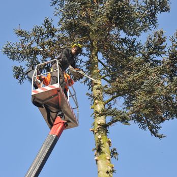 Perkins Property Maintenance - Tree Services Near Me Perkins Property Maintenance - Tree Services Near Me