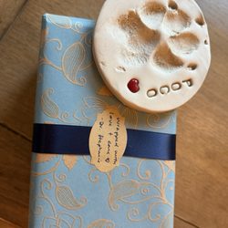 Journey Home Veterinary Services