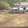 Photo of Proact Lawn Care