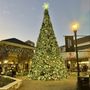 Photo of Coach Outlet