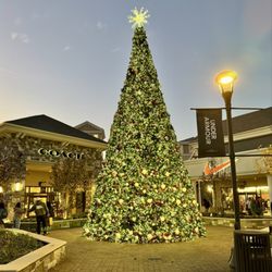 Coach Outlet