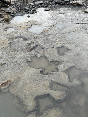 Clayton Lake State Park and Dinosaur Trackways by null