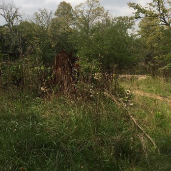 Potowatami Woods - Hiking Near Me - Wheeling, Illinois