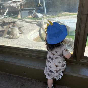 Denver Zoo - Zoos Near Me - Denver, Colorado
