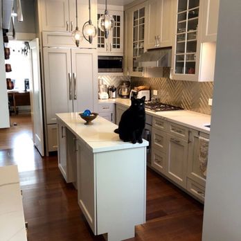 Edenavow Construction & Design - The cat approves - General Contractors Near Me Edenavow Construction & Design - The cat approves - General Contractors Near Me