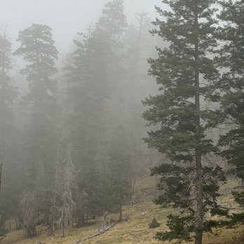 Lincoln National Forest - Campgrounds Near Me - Mayhill, New Mexico Lincoln National Forest - Campgrounds Near Me - Mayhill, New Mexico