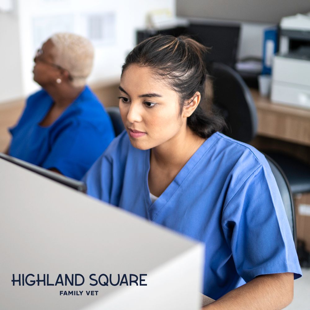 Highland Square Family Vet Image
