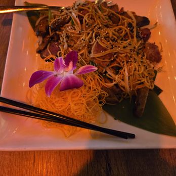 BITES Asian Kitchen + Bar - Brisket chowmein - Japanese Near Me - Chicago, Illinois BITES Asian Kitchen + Bar - Brisket chowmein - Japanese Near Me - Chicago, Illinois
