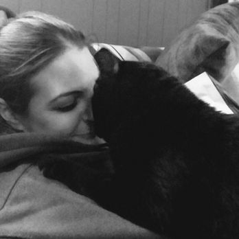 Conforta Animale - Pet Sitting Near Me - Sterling Heights, Michigan