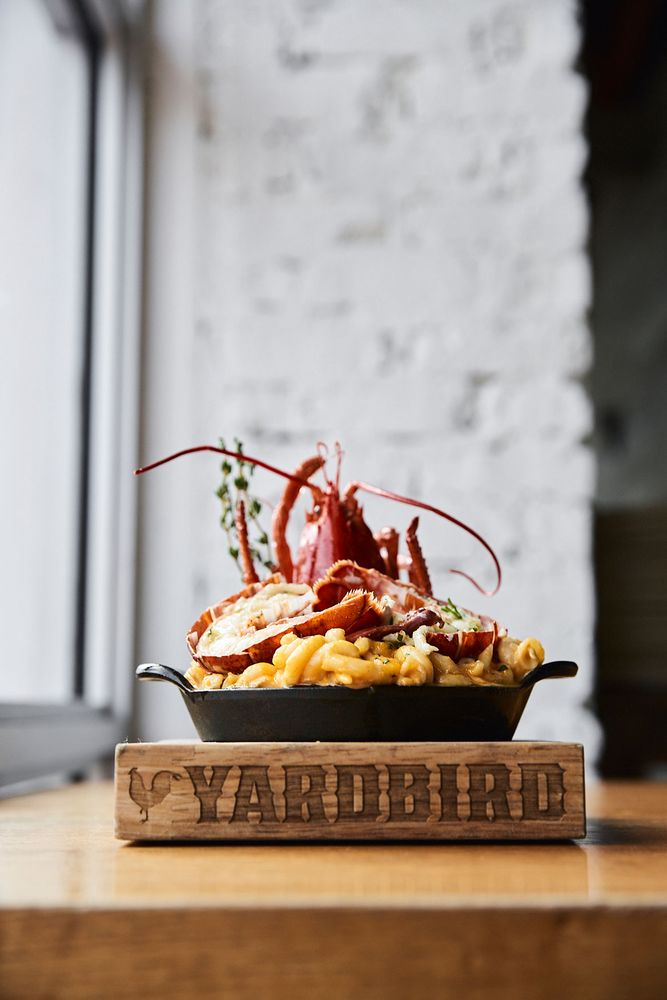 Yardbird