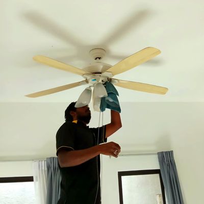 Avalon Services by null