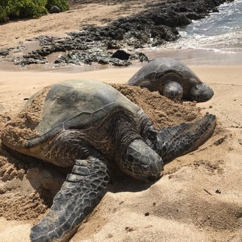 Aki's Beach - Beaches Near Me - Waianae, Hawaii