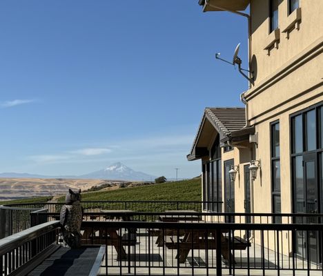 Maryhill Winery Goldendale Tasting Room & Bistro by null
