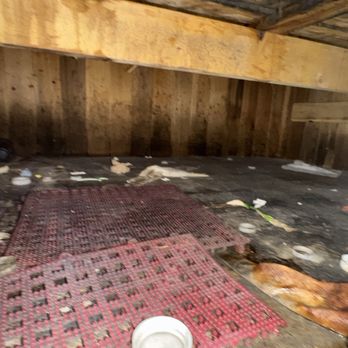 Fitness 19 - How many times we should complaint.? Poor sanitation and management of this gym. - Gyms Near Me - American Canyon, California Fitness 19 - How many times we should complaint.? Poor sanitation and management of this gym. - Gyms Near Me - American Canyon, California